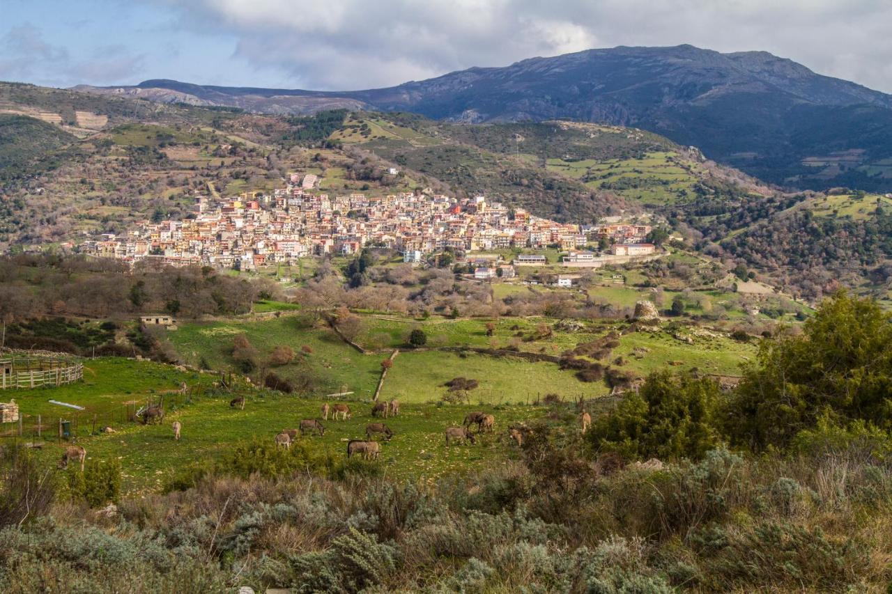 Lugori Seùlo Exterior foto