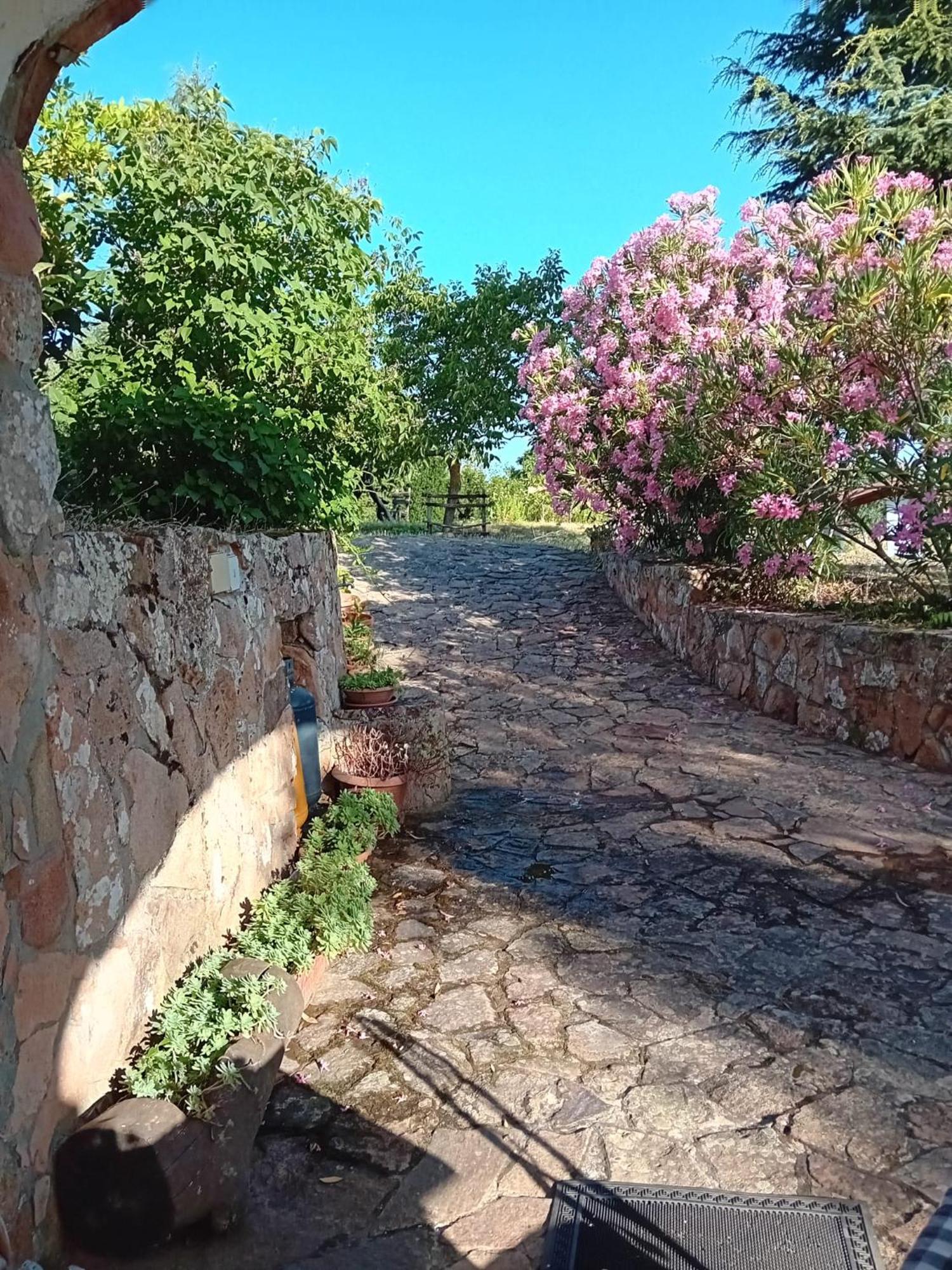 Lugori Seùlo Exterior foto