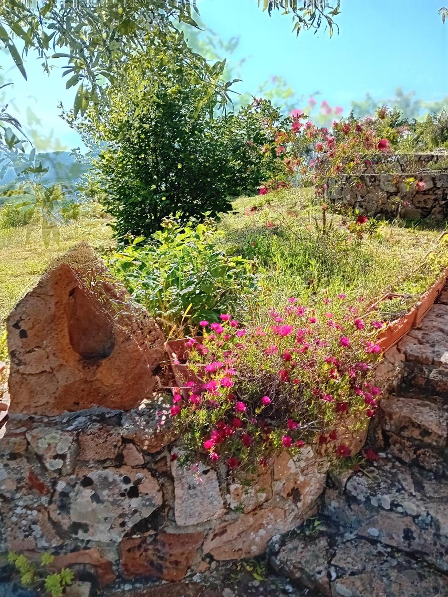 Lugori Seùlo Exterior foto